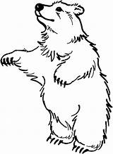 Bear Circus Standing Coloring Pages Two Feet sketch template