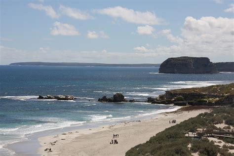 カンガルー島の魅力 オーストラリア専門旅行会社オズ・プロジェクト