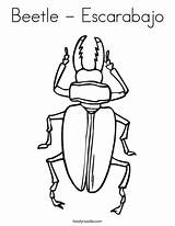 Coloring Beetles Beetle Pages Legs Six Bugs Escarabajo Bug Printable Kids Print Favorites Login Add Twistynoodle sketch template