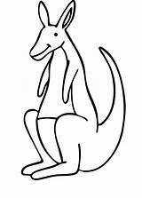 Kangaroo Coloring Pages Outline Color Printable Kids Clipart Cliparts Library Popular sketch template