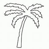 Palme Malvorlage Malvorlagen Coloring Leaf Palm Fensterbilder Palmboom Kleurplaat Kinderbilder Palmenblatt Baum Bäume Insel sketch template