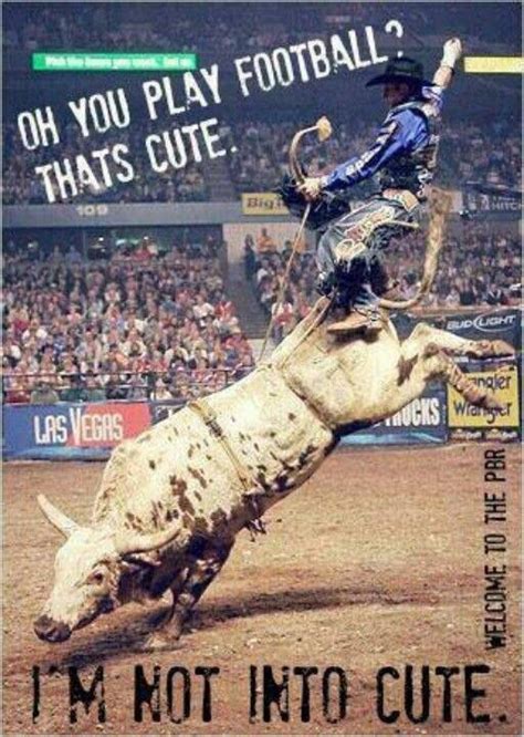 Bull Riding Quotes And Sayings Quotesgram