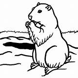 Groundhog Coloring Clipart 1200 sketch template