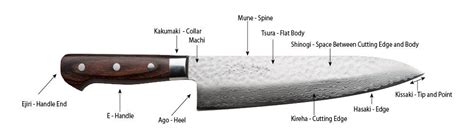 anatomy   knife element knife company