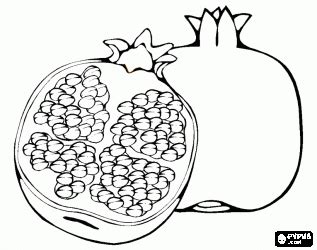 pomegranate clipart coloring page pomegranate coloring page