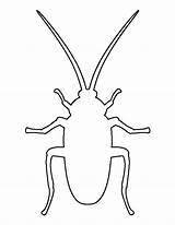 Cockroach Printable Drawing Templates Insect Pattern Outline Bug Template Patternuniverse Crafts Roach Paper Print Stencils Kids Pdf Patterns Cut Use sketch template
