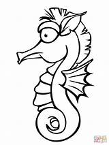 Seahorse Coloring Pages Clip sketch template