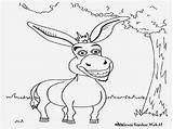 Keledai Mewarnai Sepenuhnya Segera Simpan Gambarnya Gunakan Setelah Kedalam Terbuka Komputer Dicetak Kartun sketch template