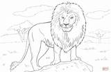 Lion Outline Drawing Coloring Getdrawings sketch template
