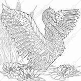Swan Coloring Pages Zentangle Adult Drawing Tundra Instant Doodle Getdrawings sketch template