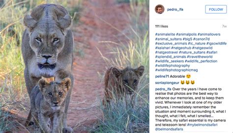 Safari Stories Via Instagram Africa Geographic