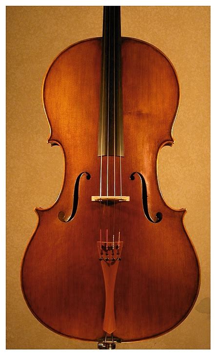 cello lavinnia marcello villa violin maker cremona italy