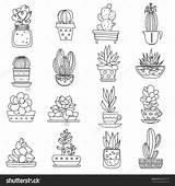 Para Desenhos Colorir Suculentas Cactus Doodle Line Pasta Escolha Succulents sketch template