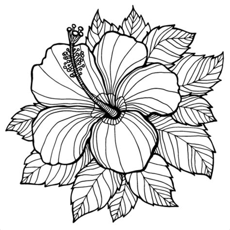summer flowers coloring pages