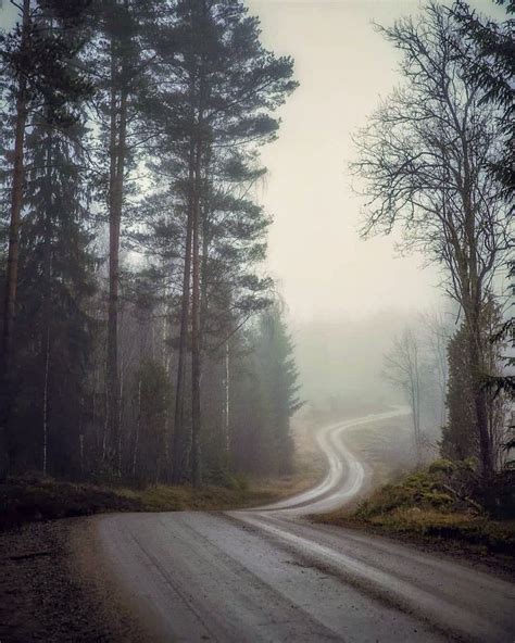 🇸🇪 misty winding forest road emmaboda sweden by jenny