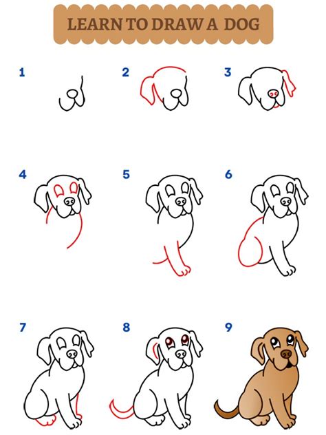 hoe teken je een hond leer hier tekenen