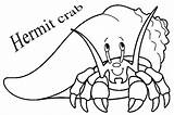 Crab Hermit Einsiedlerkrebs Malvorlagen Ausdrucken Getdrawings Cool2bkids Crabs Maryland Clipground sketch template