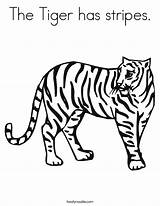 Tiger Coloring Worksheet Stripes Harimau Drawing Has Sheet Lsu Tigre Print Tracing Pages Outline Orange Book Animals Mammals Hay Gung sketch template