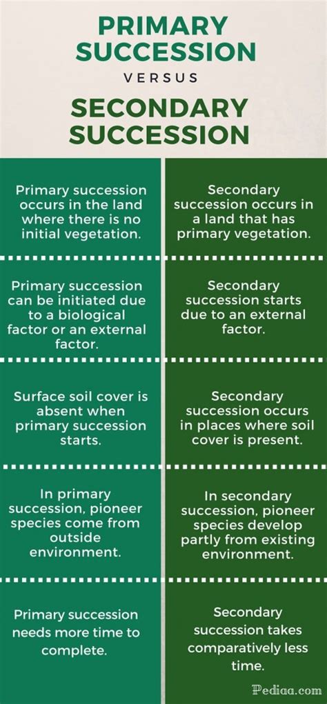 difference  primary  secondary succession