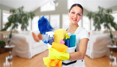 neat  clean home services house cleaning maid services north