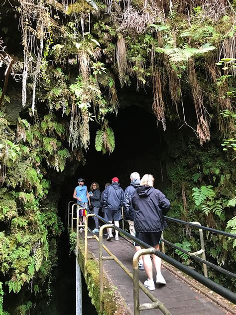 500 Year Old Thurston Lava Tube At Hawai I Volcanoes
