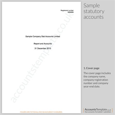 guide   statutory accounts format accounts template