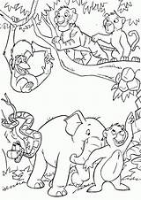 Selva Animales sketch template