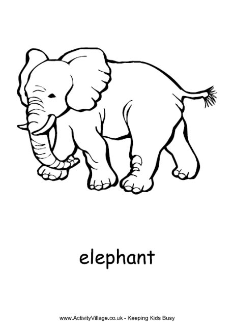 elephant colouring page