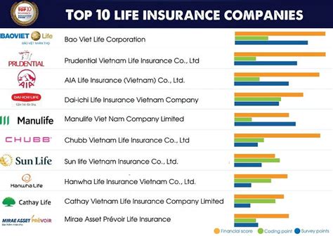 top  insurance companies  vietnam   vietnamcredit medium