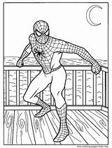 Coloring Pages Spiderman Color Cartoon Spider Man Printable Sheets Character Kids Book Sheet Fight Ready Print Found sketch template