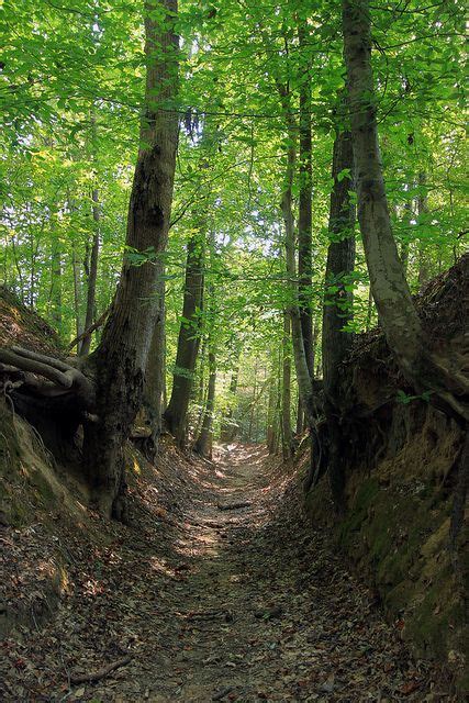 one of the few preserved portions of the trace natchez trace places to see places to go