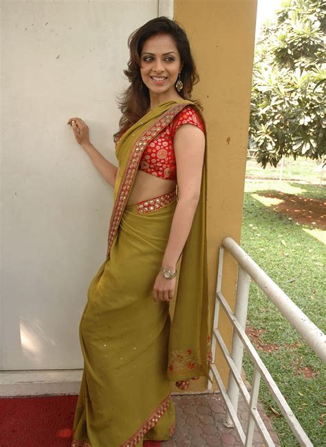 richa pallod in saree cute photos ~ south actress mp3