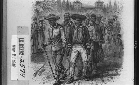 ‘their Pain Was Unparalleled’ How Slaves Helped Build Democracy’s