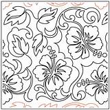 Hibiscus Deb Pantograph Grande Designs Uer 2985 Choose Board Quilting sketch template