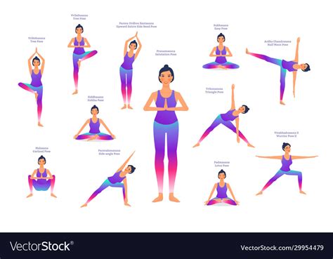 Set Woman In Different Yoga Poses Names Of Vector Image