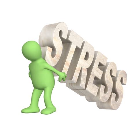 stress    worth  fivex training  strength