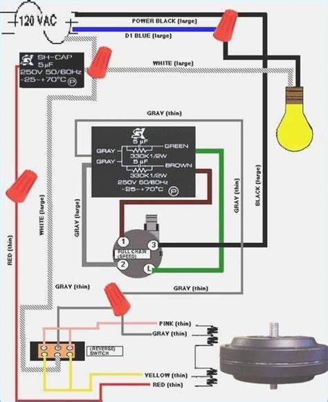 fans wiring schematic wiring diagram fan relay wiring diagram cadicians blog
