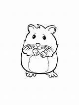 Hamster Hamsters Gaddynippercrayons sketch template