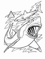 Coloring Pages Jaws Printable Getcolorings Shark sketch template