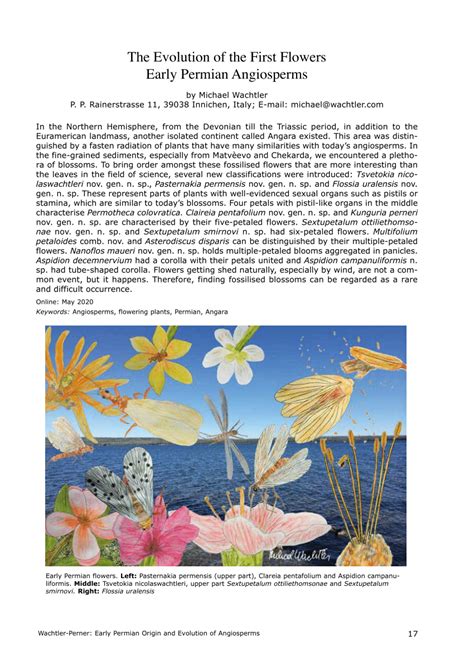 Pdf The Evolution Of The First Flowers Early Permian Angiosperms