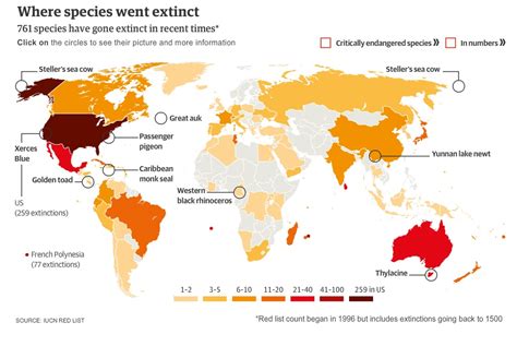 extinction rates  biased   worse   thought top cats