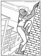 Coloring Pages Character Cartoon Spider Man Spiderman Color Sheets Found Printable sketch template