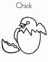 Hatching Chick Coloring Pages Color sketch template