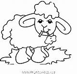 Colorir Moutons Desenhos Mouton Carneirinhos Riscos Ovelhas Imprimer Ovelhinhas Carneiro Ovejas Ovelhinha Animaux Coloriages Coisasdenil Rabiscos Fofos Mig Ligne Marcadores sketch template