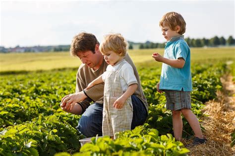 farmers share  food dollar sharply decliningalong  farm incomes save family farming