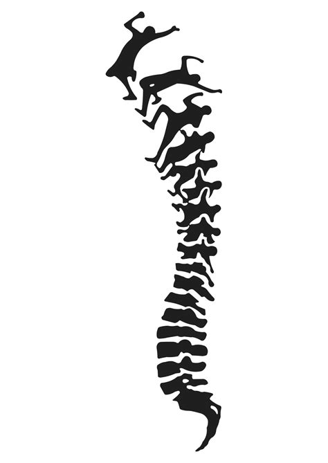 Spine Clipart 20 Free Cliparts Download Images On