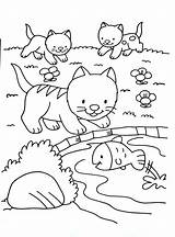 Coloring Cat Kids Cats Pages Print Kittens Cute Fish Playing Animals Color Simple Printable Adult Justcolor Mandala Rainbow Animal Nggallery sketch template