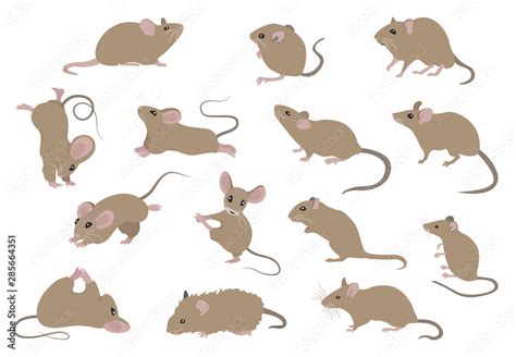mice mouse yoga poses  exercises cute cartoon clipart
