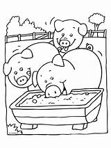 Varkens Coloring Eten Farm Pages Kleurplaten Boerderij Animals Kleurplaat Varken Aan Het Colouring Pigs Animated Animal Kindergarten Biggetjes Kids Dieren sketch template