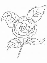 Camellia Coloring Pages Flower Flowers Recommended sketch template